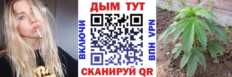 Галлюциногенные грибы Новоаннинский