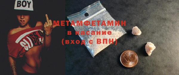 прущие грибы Сатка