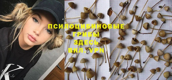 PSILOCYBIN Армянск