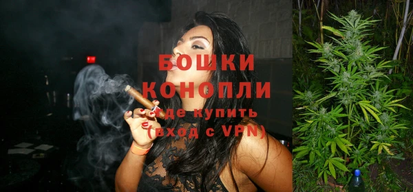 PSILOCYBIN Армянск