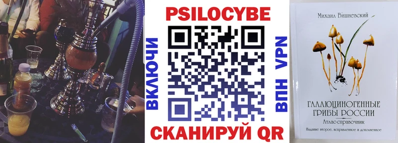 Псилоцибиновые грибы Psilocybe  Новоаннинский 